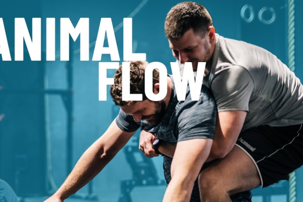 Animal FLOW